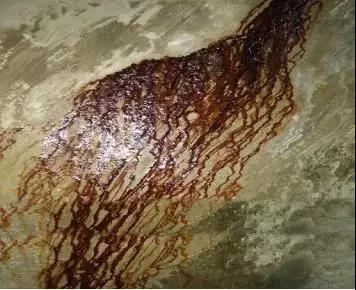 壹号娱乐-NG大舞台-相信品牌的实力