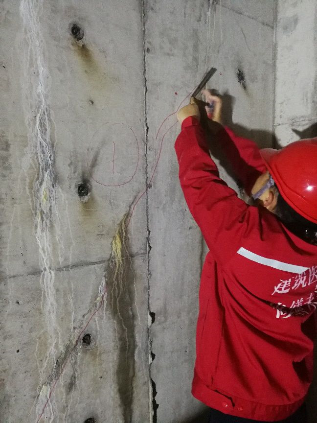 壹号娱乐-NG大舞台-相信品牌的实力