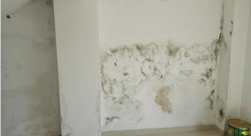 壹号娱乐-NG大舞台-相信品牌的实力