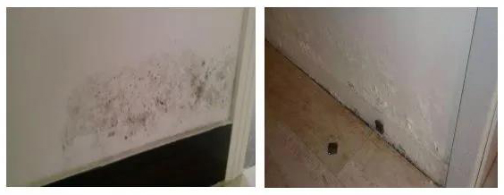 壹号娱乐-NG大舞台-相信品牌的实力