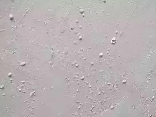 壹号娱乐-NG大舞台-相信品牌的实力