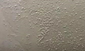 壹号娱乐-NG大舞台-相信品牌的实力