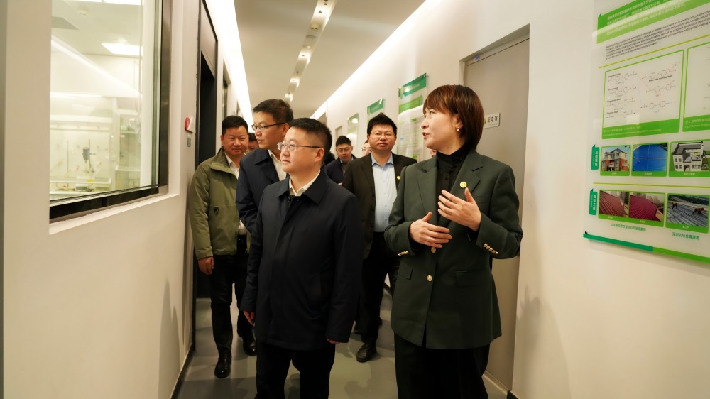 1_250212172615_1 壹号娱乐-NG大舞台-相信品牌的实力